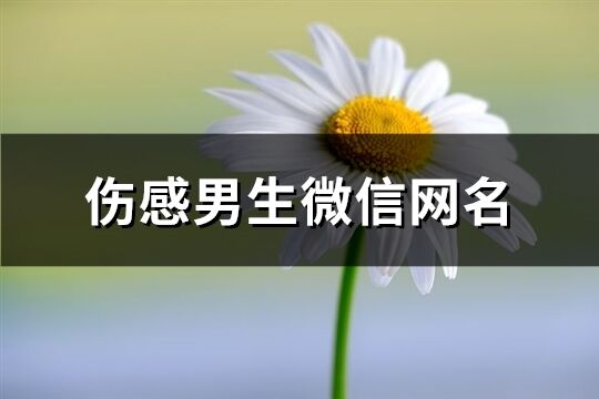 傷感男生微信網名(精選101個)