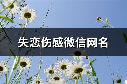 失戀傷感微信網名(107個)