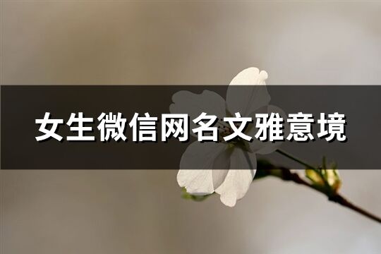 女生微信網(wǎng)名文雅意境(260個(gè))