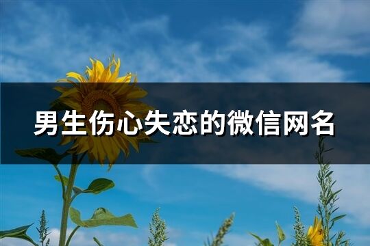 男生傷心失戀的微信網名(精選187個)