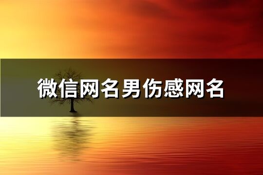 微信網(wǎng)名男傷感網(wǎng)名(共254個(gè))