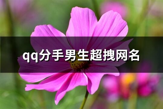 qq分手男生超拽網名(共127個)