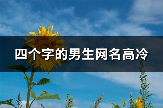 四個字的男生網名高冷(共239個)