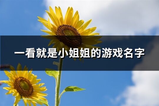 一看就是小姐姐的游戲名字(精選276個)