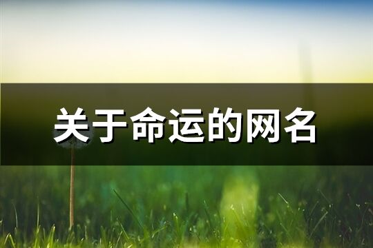 關于命運的網名(精選61個)