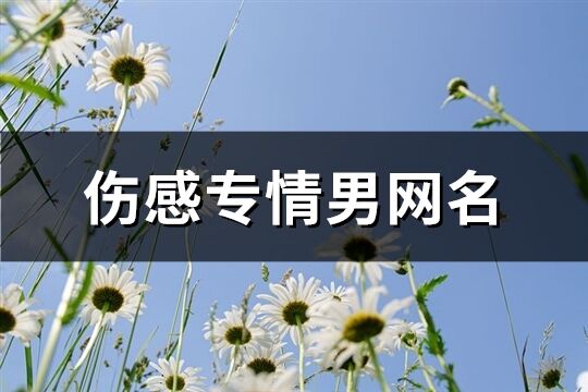 傷感專情男網名(共265個)