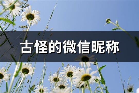 古怪的微信昵稱(精選220個)