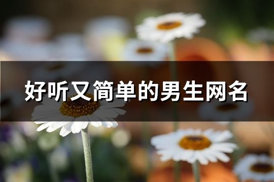 好聽又簡單的男生網(wǎng)名(172個)