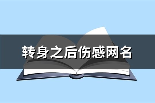 轉(zhuǎn)身之后傷感網(wǎng)名(共104個(gè))