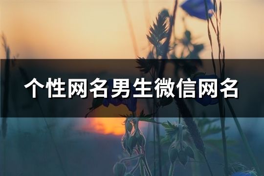 個性網名男生微信網名(精選150個)