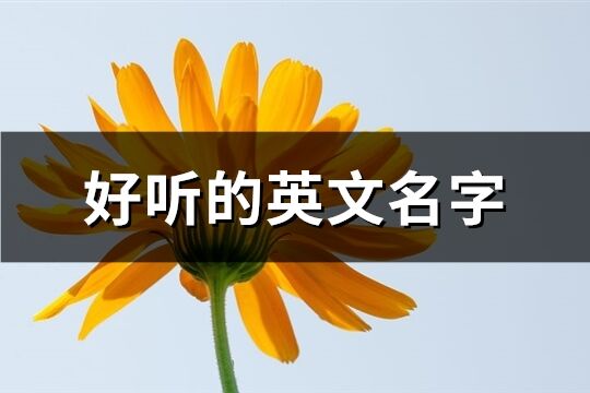 好聽的英文名字(共78個)