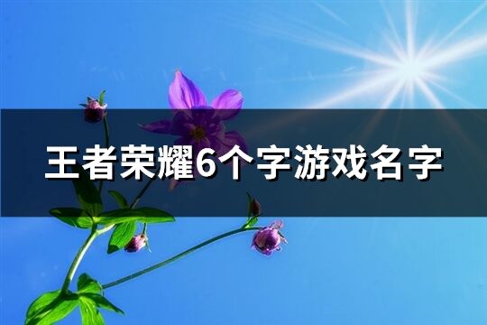 王者榮耀6個字游戲名字(1143個)