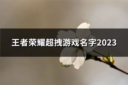 王者榮耀超拽游戲名字2023(優(yōu)選61個)