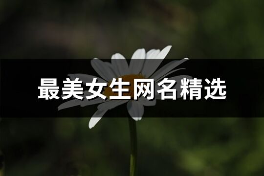 最美女生網名精選(共785個)