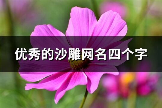 優秀的沙雕網名四個字(627個)