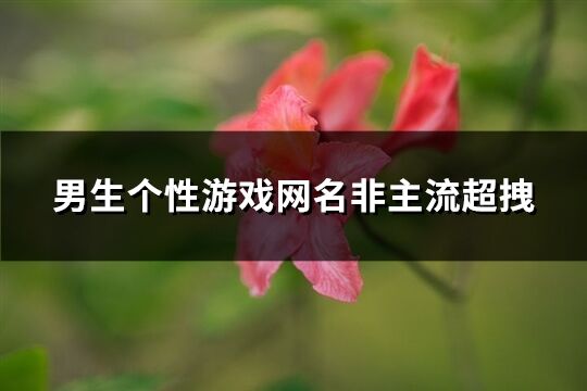 男生個性游戲網名非主流超拽(精選217個)