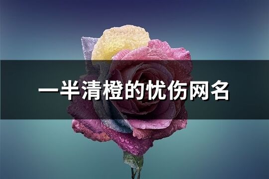 一半清橙的憂傷網名(優選471個)