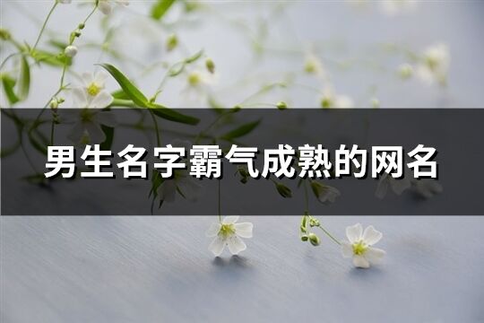 男生名字霸氣成熟的網(wǎng)名(精選277個(gè))