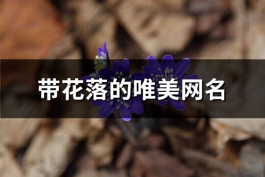 帶花落的唯美網名(共299個)