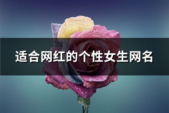 適合網紅的個性女生網名(精選63個)