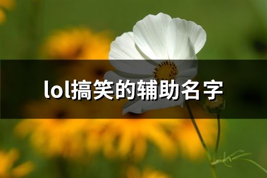 lol搞笑的輔助名字(共129個(gè))