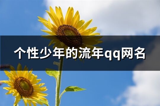 個(gè)性少年的流年qq網(wǎng)名(共180個(gè))