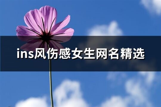 ins風(fēng)傷感女生網(wǎng)名精選(共206個)