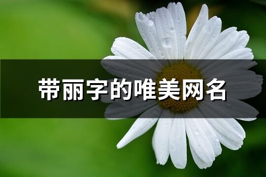 帶麗字的唯美網(wǎng)名(172個(gè))