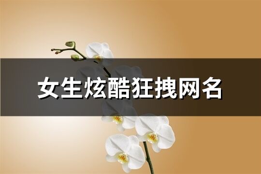 女生炫酷狂拽網名(精選229個)