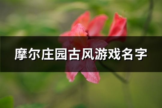 摩爾莊園古風游戲名字(137個)