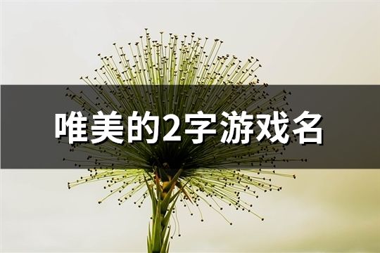 唯美的2字游戲名(共129個(gè))