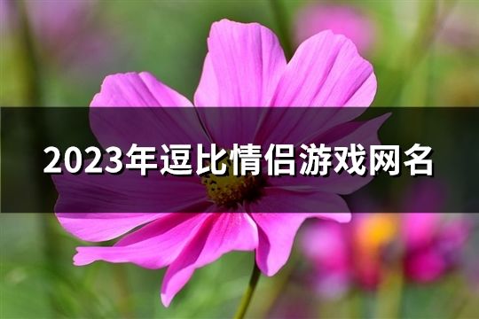 2023年逗比情侶游戲網名(146個)