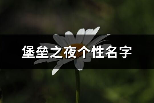 堡壘之夜個(gè)性名字(精選171個(gè))