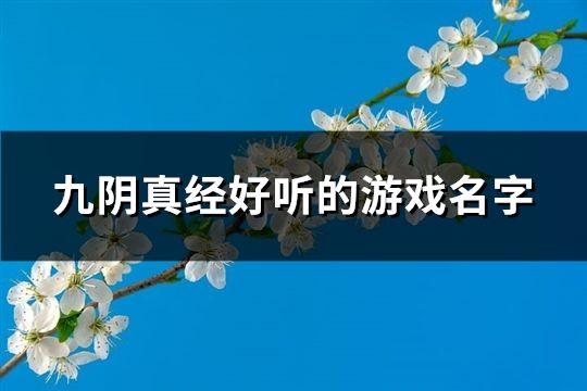 九陰真經(jīng)好聽(tīng)的游戲名字(198個(gè))