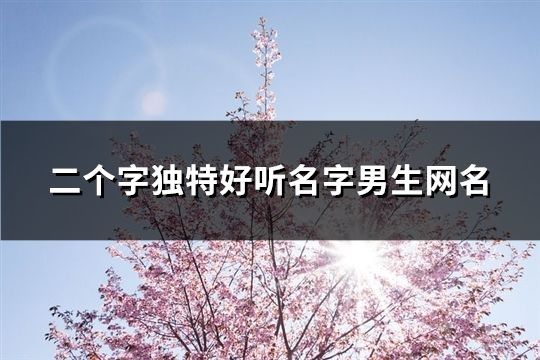 二個(gè)字獨(dú)特好聽名字男生網(wǎng)名(精選155個(gè))