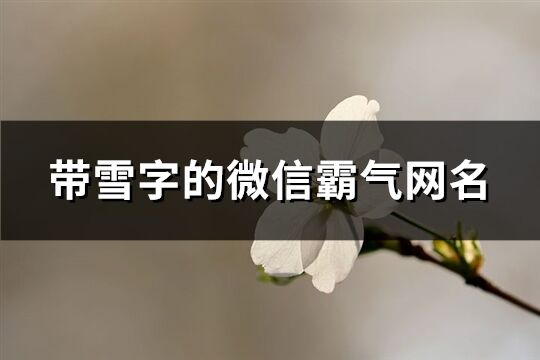 帶雪字的微信霸氣網名(共101個)