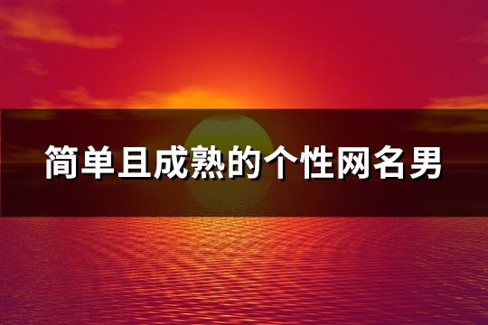 簡單且成熟的個(gè)性網(wǎng)名男(精選183個(gè))