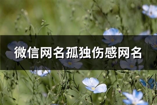 微信網名孤獨傷感網名(精選72個)