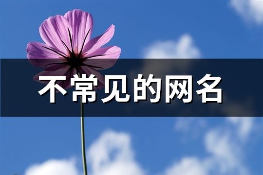 不常見的網名(共74個)