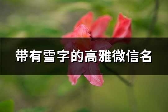 帶有雪字的高雅微信名(共176個)