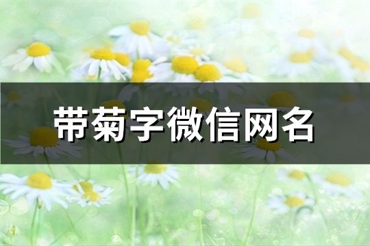 帶菊字微信網(wǎng)名(70個(gè))