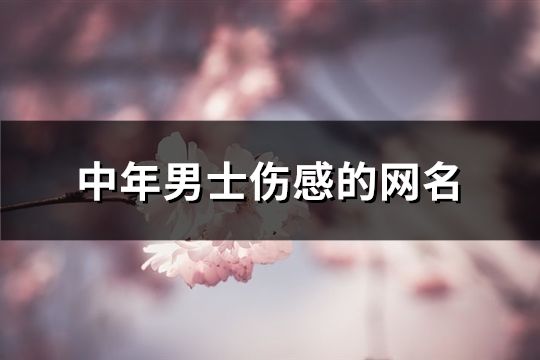 中年男士傷感的網名(共132個)