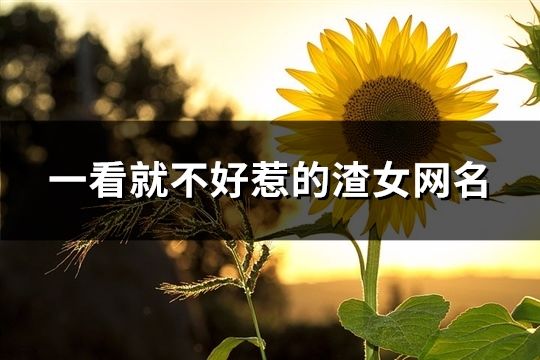 一看就不好惹的渣女網名(共176個)