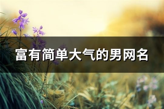 富有簡(jiǎn)單大氣的男網(wǎng)名(共92個(gè))