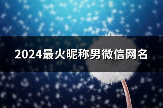 2024最火昵稱男微信網(wǎng)名(共288個(gè))