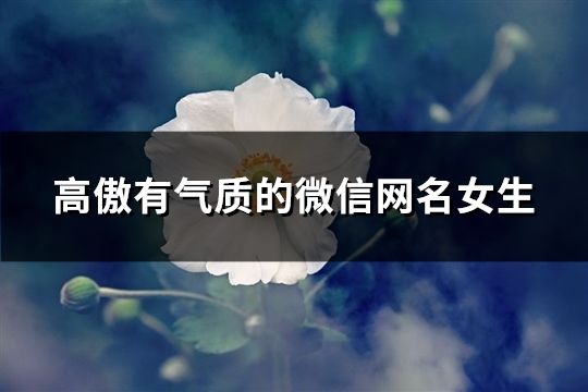 高傲有氣質(zhì)的微信網(wǎng)名女生(270個)