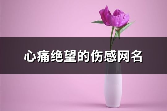 心痛絕望的傷感網名(共132個)