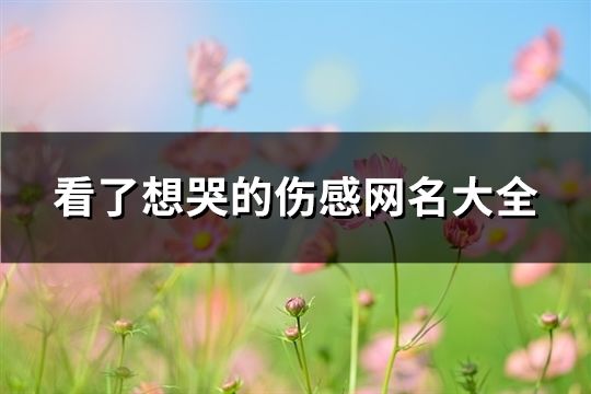 看了想哭的傷感網名大全(共91個)