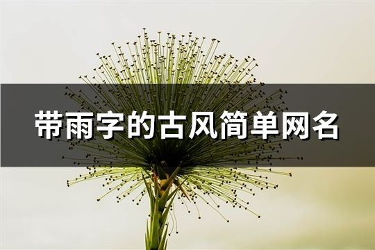 帶雨字的古風簡單網名(76個)