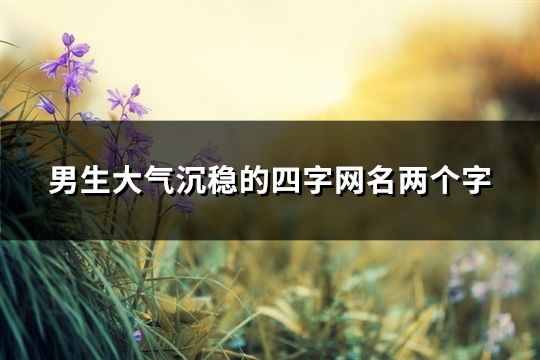 男生大氣沉穩的四字網名兩個字(共154個)